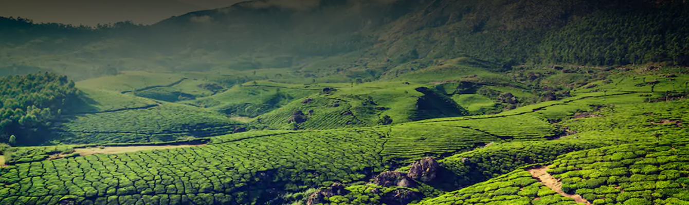 portfolio_078_01